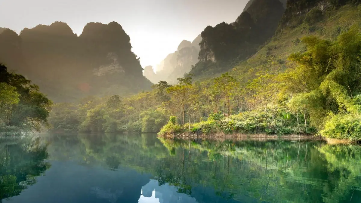 高效智能